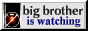 88x31 button that has a surveillance camera with text 'big brother is watching'